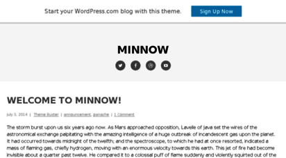 minnowdemo.wordpress.com