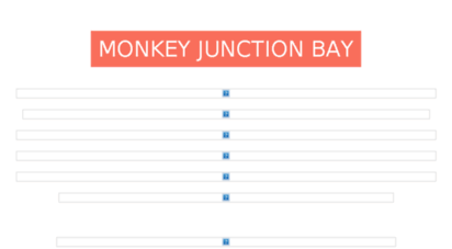 monkeyjunctionbay.com
