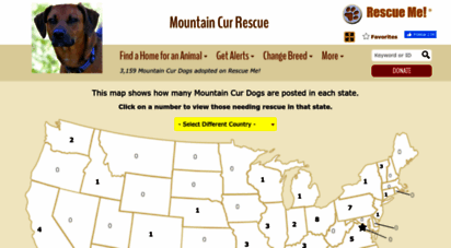 mountaincur.rescueme.org