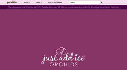 my.justaddiceorchids.com