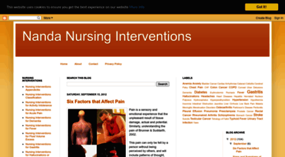 nanda-nursinginterventions.blogspot.com