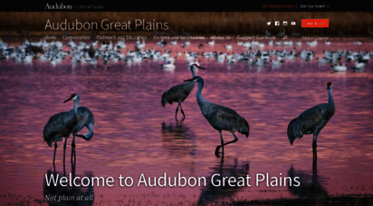 nedev.audubon.org