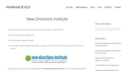 newdirectionsinstitute.org