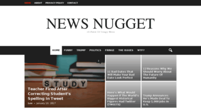 newsnugget.net