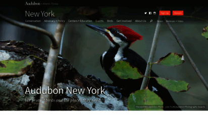 ny.audubon.org