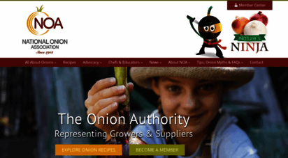 onions-usa.org