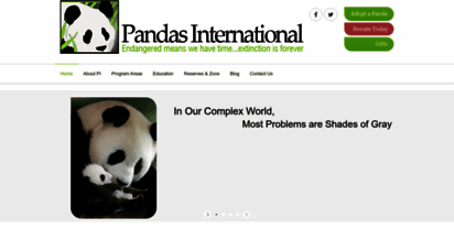 pandasinternational.org