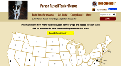 parsonrussellterrier.rescueme.org