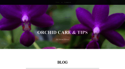plantorchid.wordpress.com