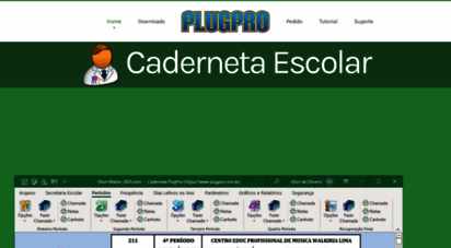 plugpro.com.br