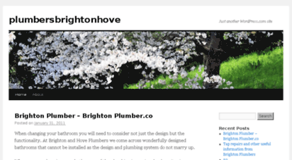 plumbersbrightonhove.wordpress.com