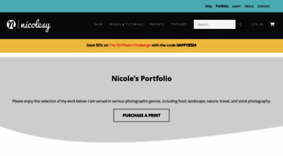 portfolio.nicolesy.com