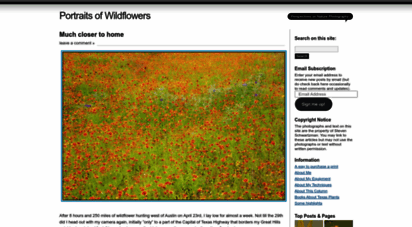 portraitsofwildflowers.wordpress.com