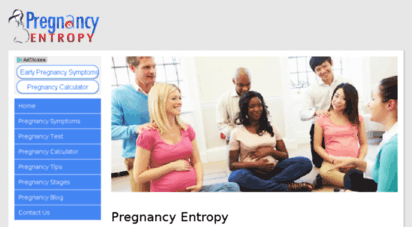 pregnancyentropy.com