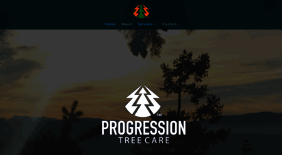 progressiontreecare.com