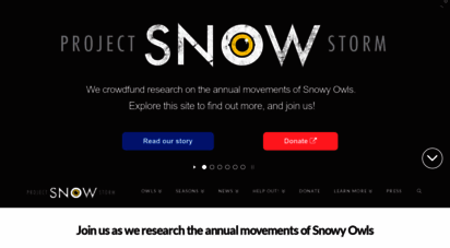 projectsnowstorm.org
