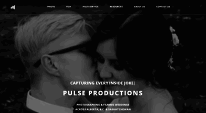pulseproinc.com