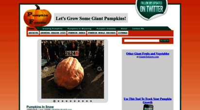 pumpkinfanatic.com