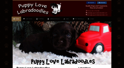 puppylovelabradoodles.com