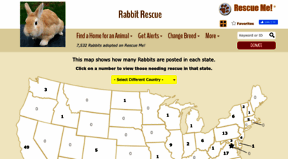 rabbit.rescueme.org