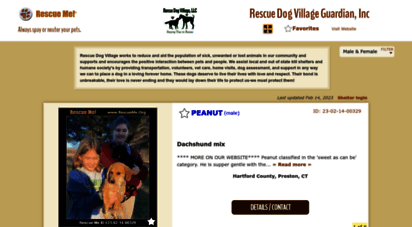 rescuedogvillage.rescueme.org