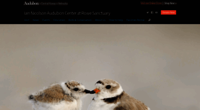 rowe.audubon.org
