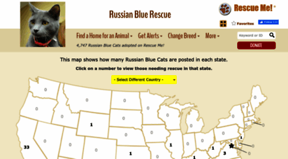 russianblue.rescueme.org