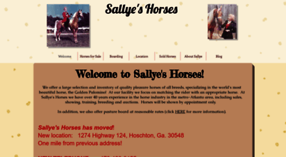 sallyeshorses.com