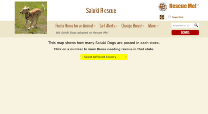 saluki.rescueme.org