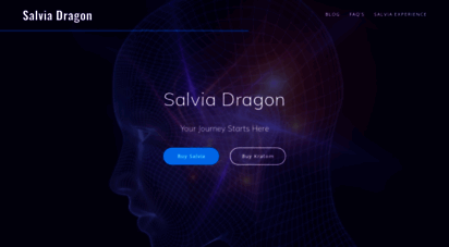 salviadragon.com