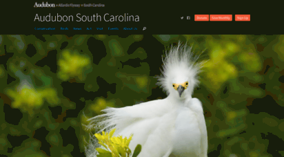 sc.audubon.org