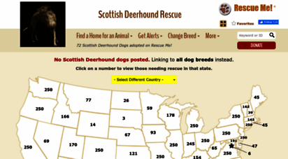 scottishdeerhound.rescueme.org