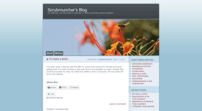 scrubmuncher.wordpress.com