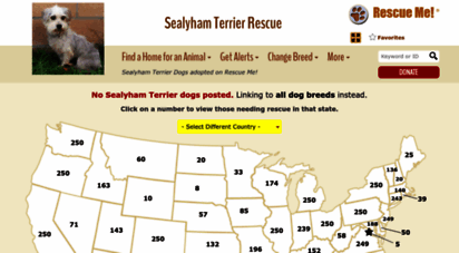 sealyhamterrier.rescueme.org