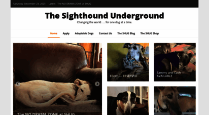 sighthoundunderground.com