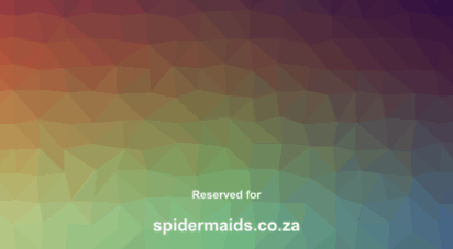 spidermaids.co.za