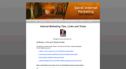 spiralinternetmarketing.com