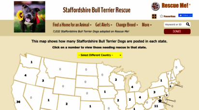 staffordshirebullterrier.rescueme.org