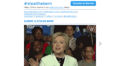 stealthebern.org