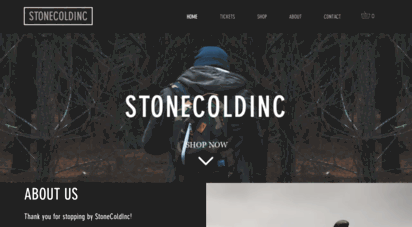 stonecoldinc.net