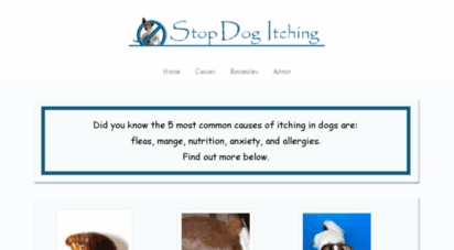stopdogitching.com