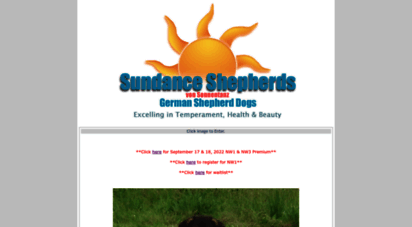 sundanceshepherds.com