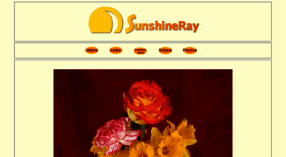 sunshineray.com