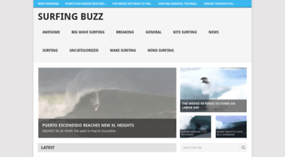 surfingbuzz.com