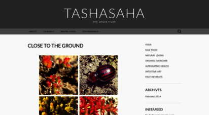 tashasaha.wordpress.com
