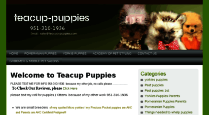 teacup-puppies.com