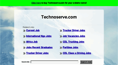 technoserve.com