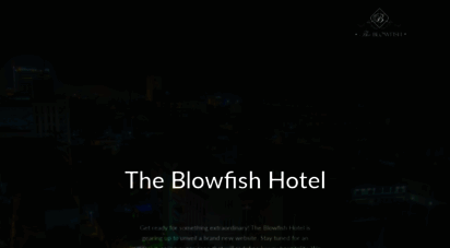 theblowfishhotel.com