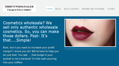 thriftywholesaler.com