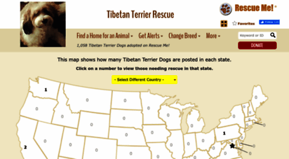 tibetanterrier.rescueme.org